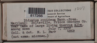Image Associated With the Occurence